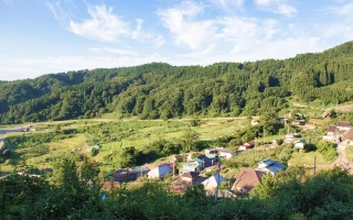 山林