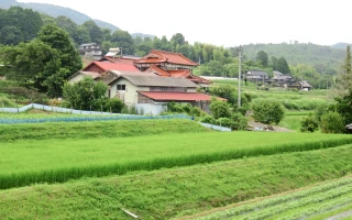 田畑