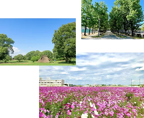 播磨町・稲美町エリア